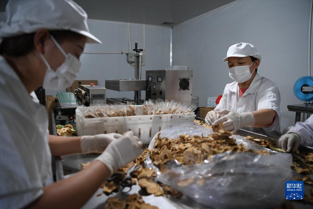 娱乐平台用户登录099