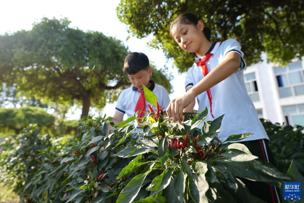 永利会员卡级别